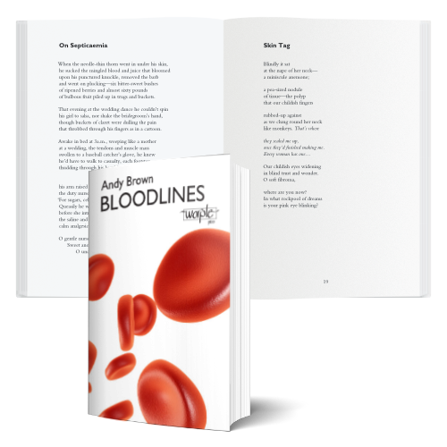 Cover and typesetting for Bloodlines